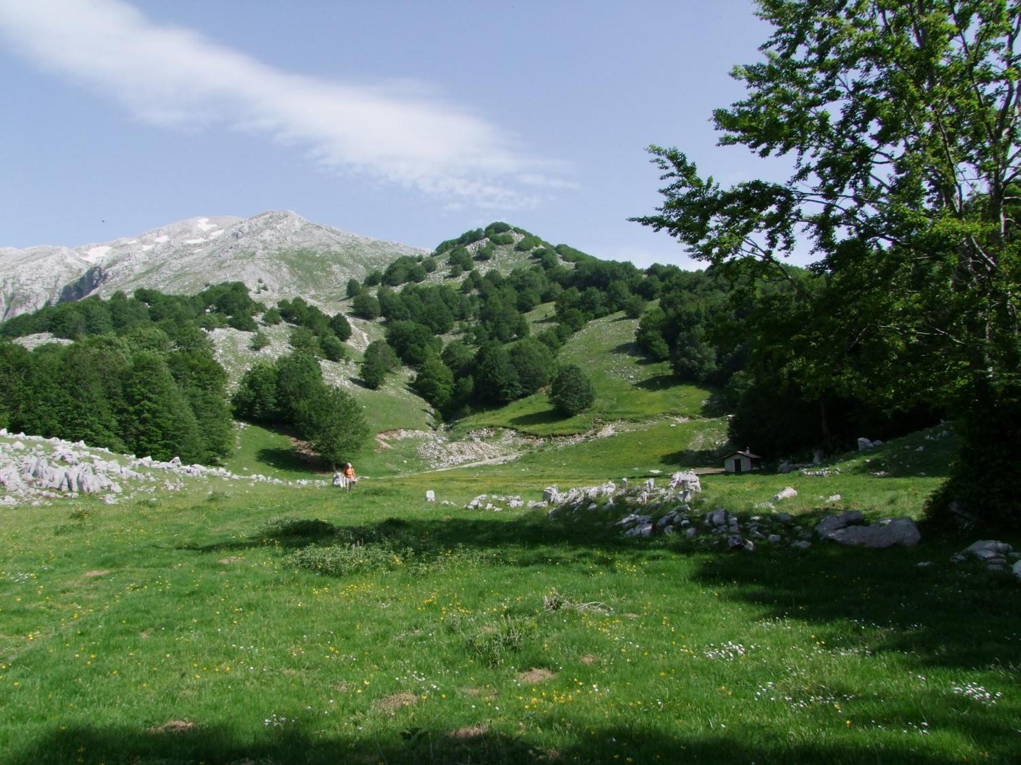 B&B Vivilmatese Roccamandolfi Εξωτερικό φωτογραφία